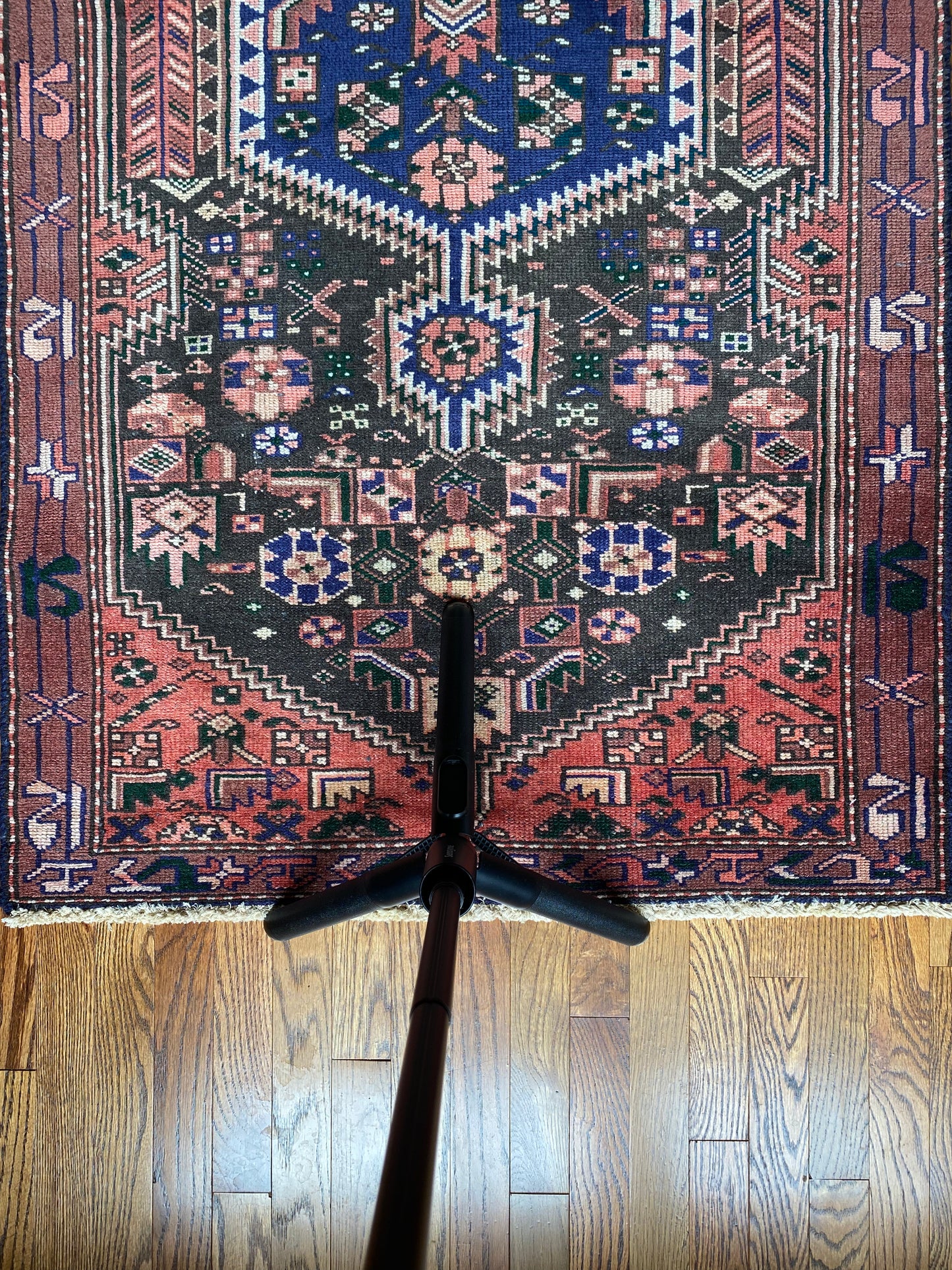 Lupita ~3’ x 6’6”