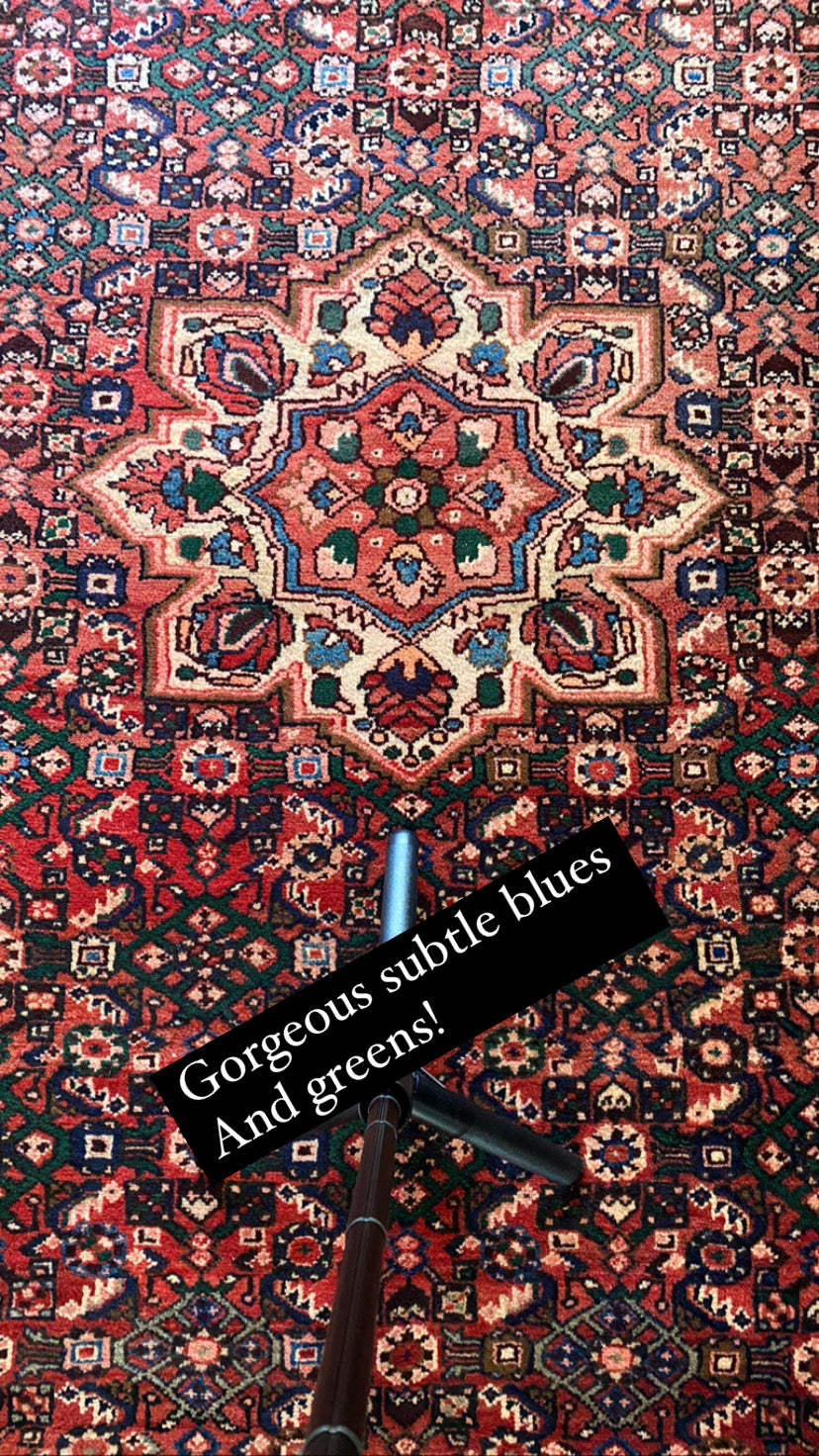 Hector ~ 5’1” x 10’4” – Vintage Rug Addiction